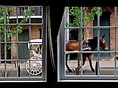 Hitchin' a Ride, New Orleans, Louisiana